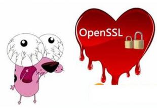 PHP中如何启用OpenSSL？